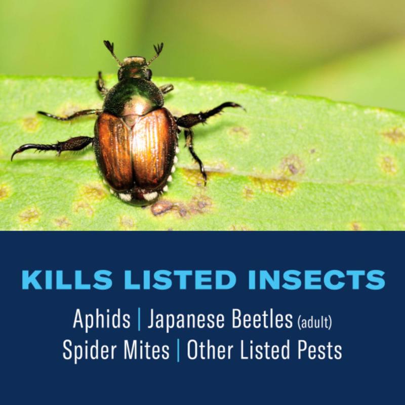 Sylvania V40832-49 Light Set, Christmas, 120 V, 2.4 W, 50-Lamp, LED Lamp, Blue/Green/Orange/Red/Yellow Lamp