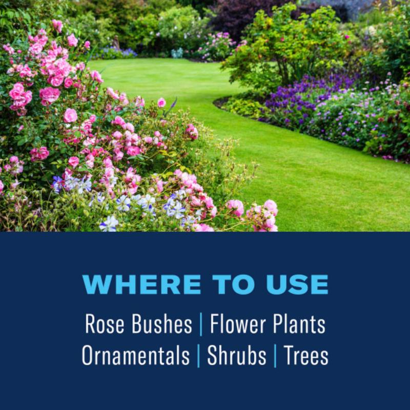 BioAdvanced 3-in-1, Non-Neonic, Ready-to-Spray Insect Disease & Mite Control Spray 32 fl. oz.