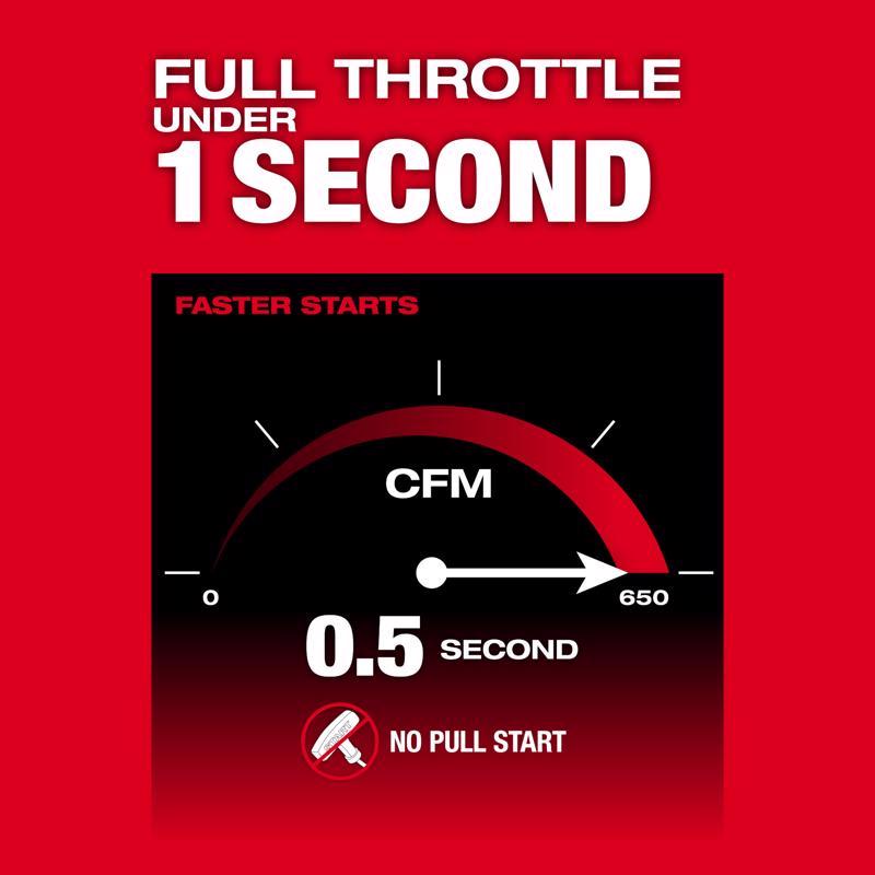 Hometown Holidays 81320 Glittering Christmas Skirt, 40 in L, 32 in W, Glittery, Pack of 24