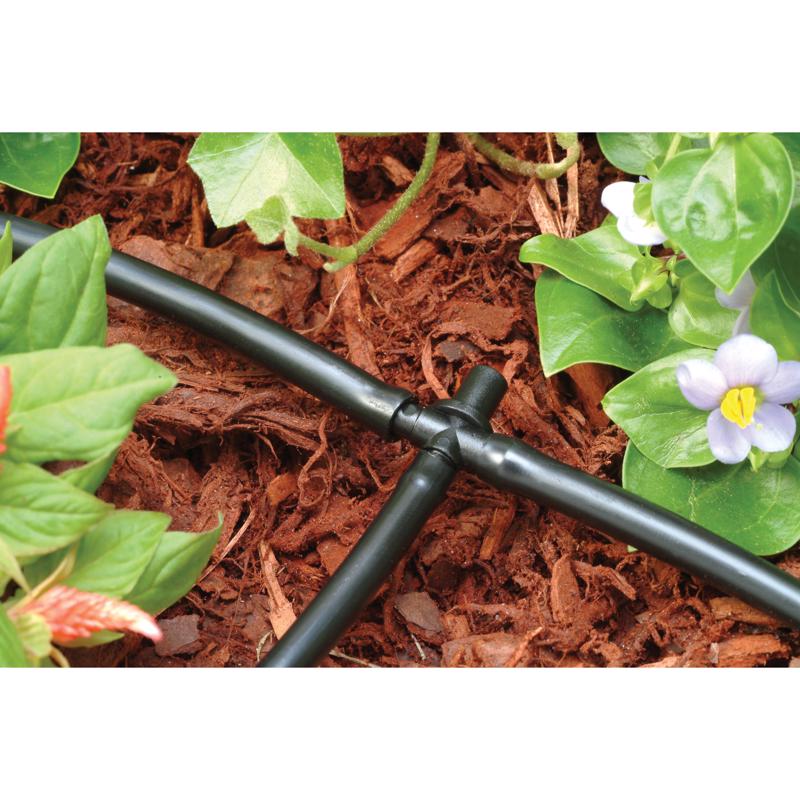 Rain Bird 1/4 in. Barbed Drip Irrigation Tee 1 pk