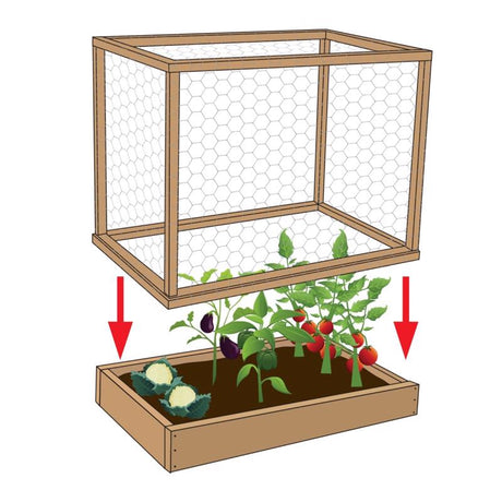 Raindrip 1/2 in. Compression Drip Irrigation Coupler 1 pk