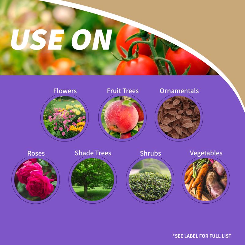 Ace Carbon Steel Raker Tooth Bow Saw Replacement Blade