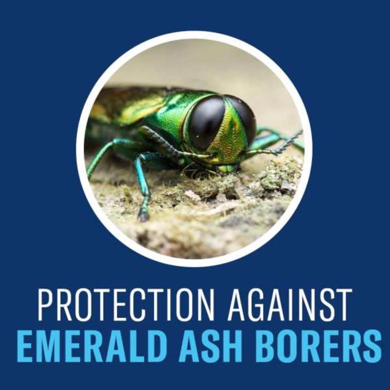 Tru-Pitch Daido Steel Roller Chain No. 40