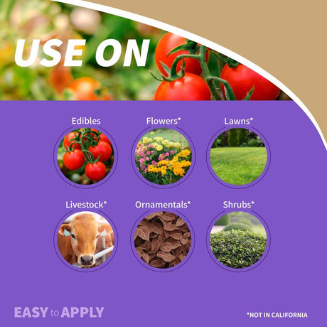 Bonide Sulfur Organic Concentrated Dust Fungicide 1 lb