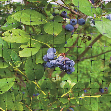 Toro Leaf Blower Vac Replacement Bag