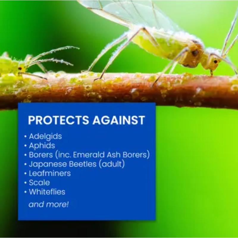 BioAdvanced 701810A Concentrated Tree and Shrub Protect and Feed II, Liquid, Green, 32 oz Bottle