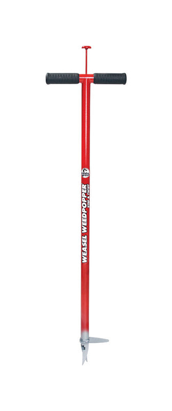 Ace Mixed Partial Shade/Sun Grass Seed 3 lb