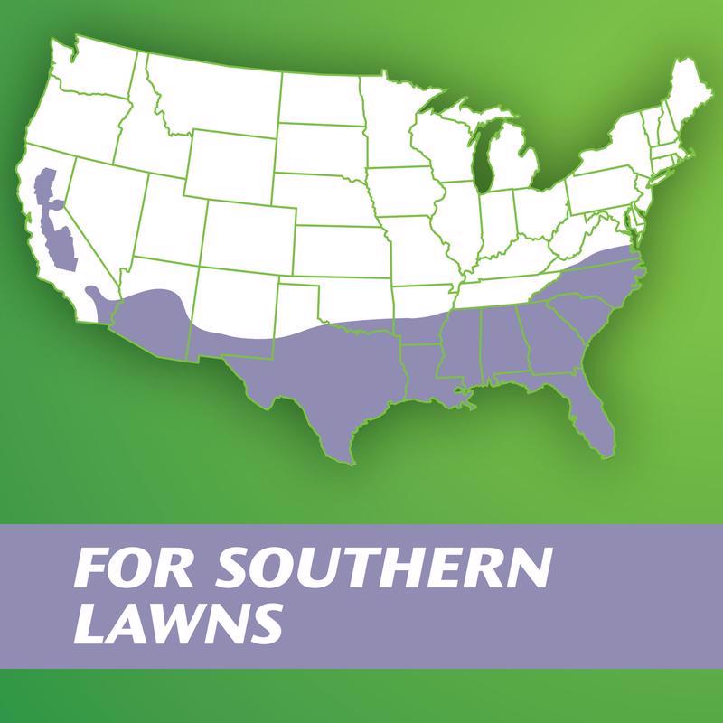 Ace 12 ft. W X 16 ft. L Heavy Duty Polyethylene Tarp Black/Silver