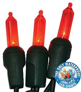 Holiday Bright Lights LEDBX-T550-RD6 Light Set, 50-Lamp, LED Lamp, Red Lamp, 50,000 hr Average Life, 26 ft L