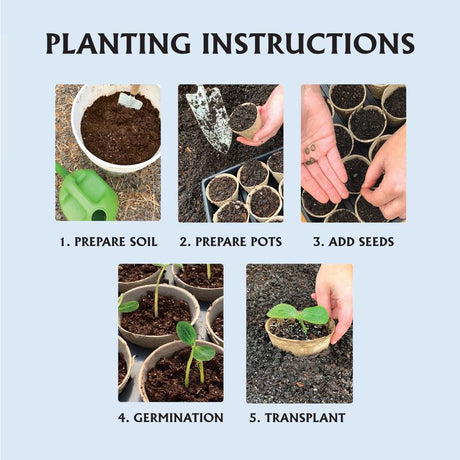 Arnold Air Filter For 17211-ZL8-000