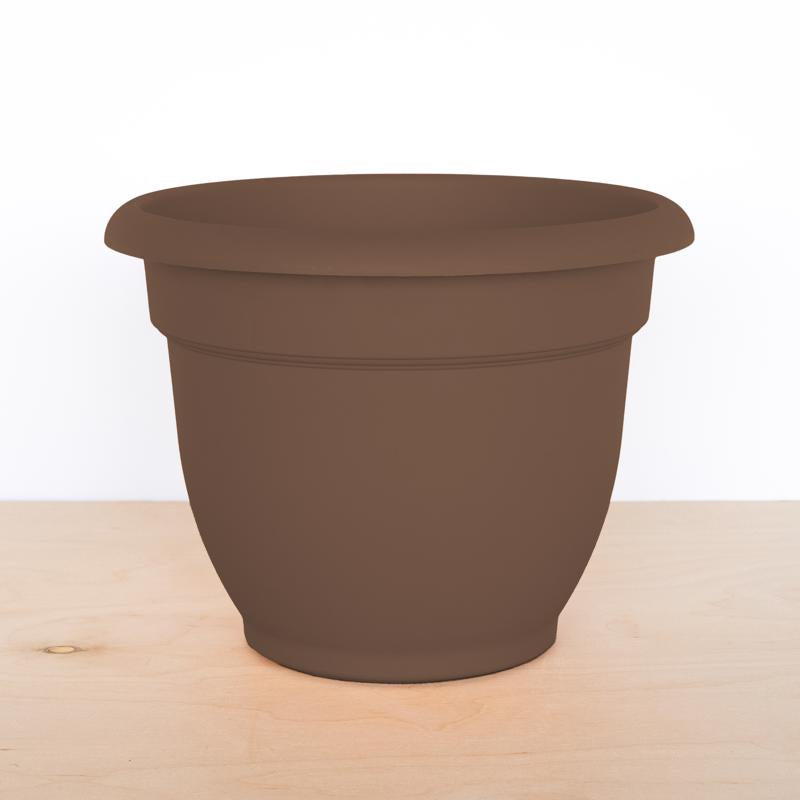 Bloem Ariana 5.25 in. H X 6.5 in. W Resin Traditional Planter Chocolate