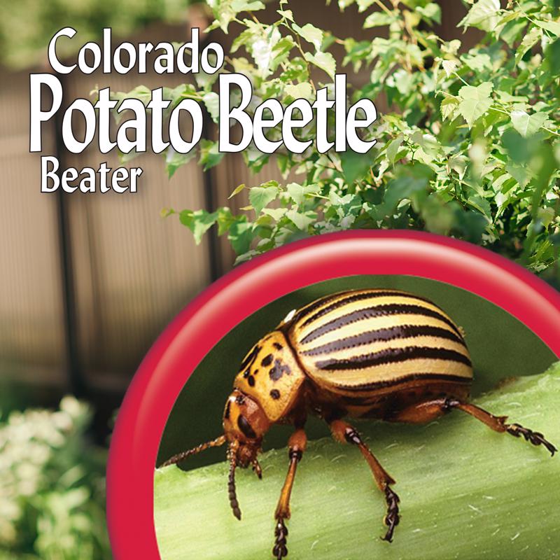 Bonide 687 Colorado Potato Beetle Beater, Liquid, Spray Application, 1 pt Bottle