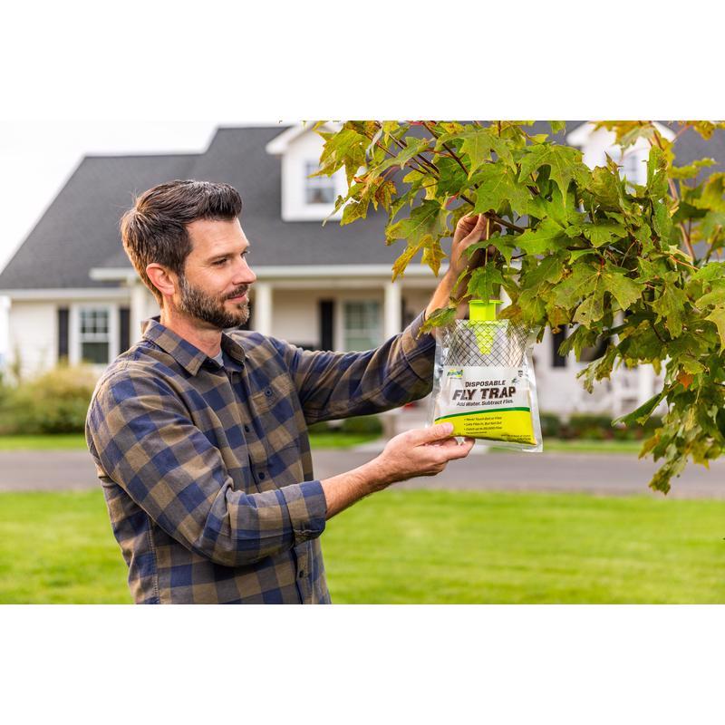 RESCUE Fly Trap 1.45 oz, Pack of 12