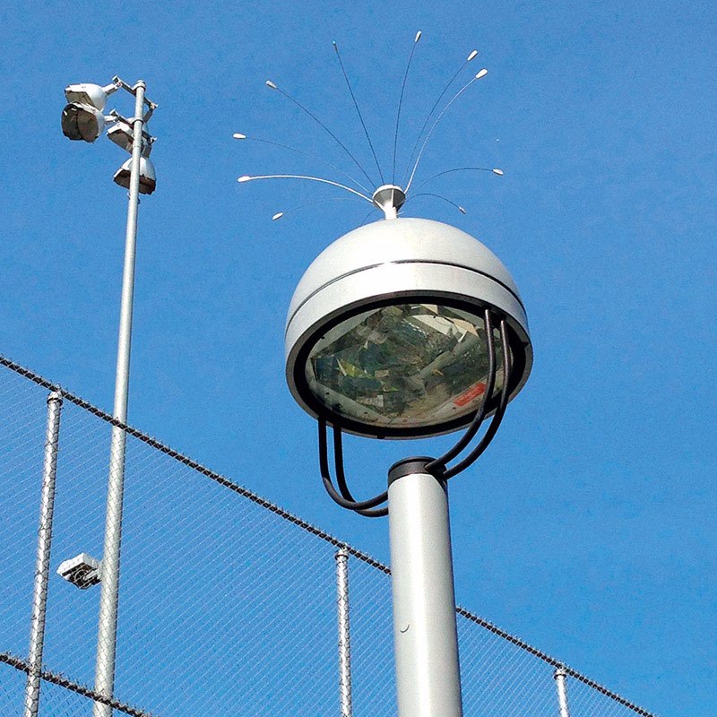 Bird-B-Gone Bird Repelling Spider For Assorted Species 1 pk