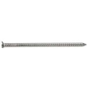ProFIT 0241155S Siding Nail, 8D, 2-1/2 in L, 316 Stainless Steel, Checkered Brad Head, Ring Shank, 5 lb