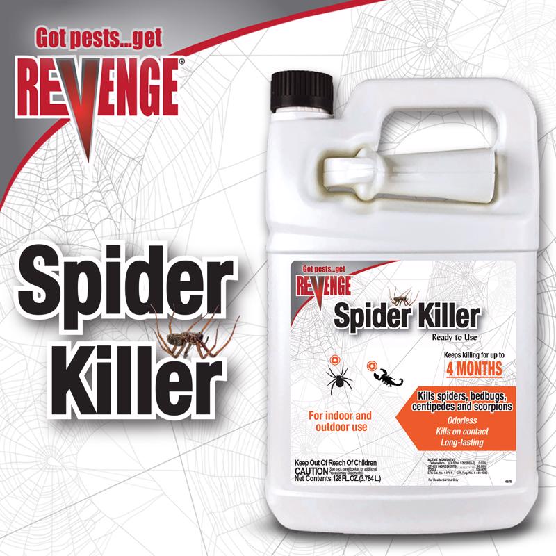 Bonide 532 Spider Killer, Liquid, 1 gal