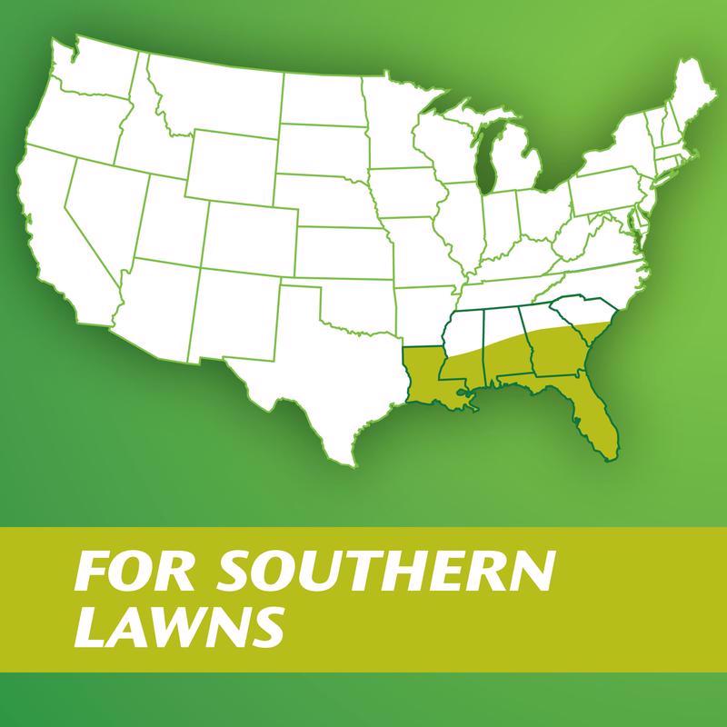 Scotts Turf Builder Argentine Bahiagrass Sun or Shade Grass Seed 5 lb