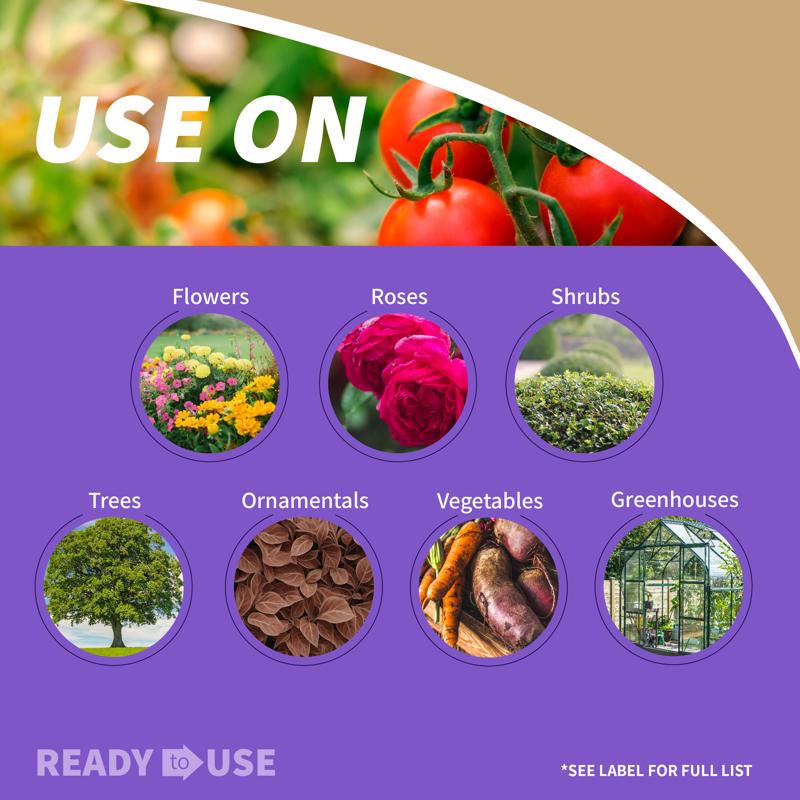 Rust-Oleum Painter's Touch Gloss Deep Blue Water-Based Protective Enamel Exterior and Interior 8 oz, Pack of 6