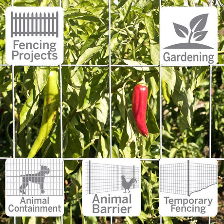 Garden Craft 36 in. H X 50 ft. L Steel Welded Wire Fence Silver