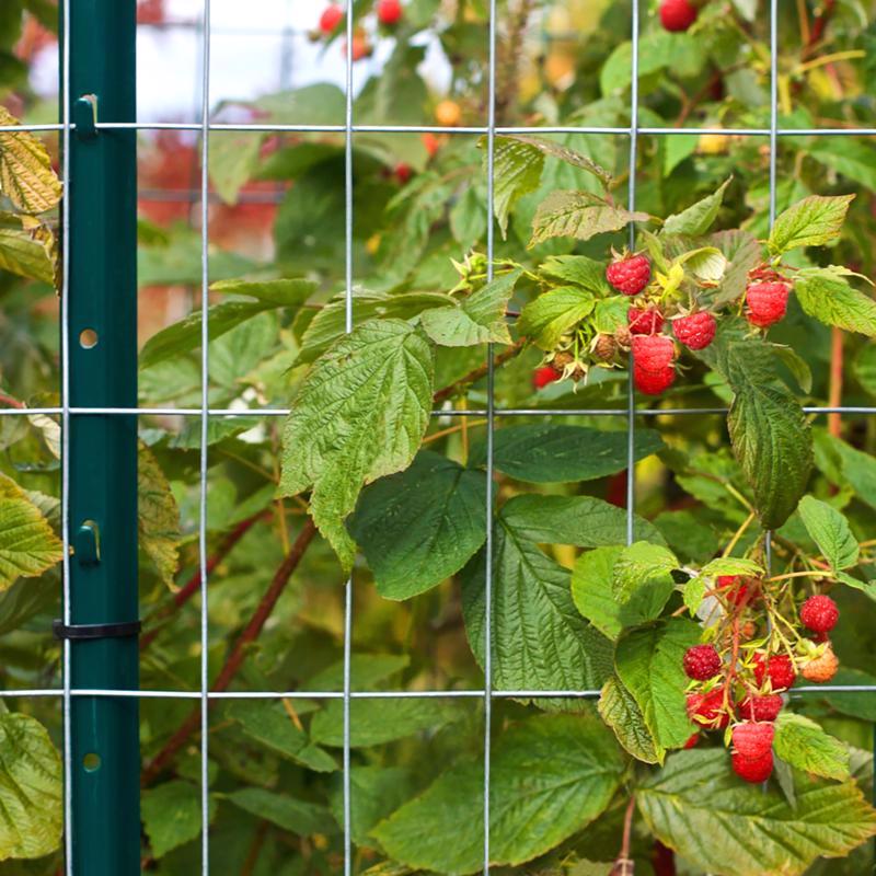 Garden Craft 36 in. H X 50 ft. L Steel Welded Wire Fence Silver