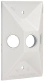 Hubbell 5189-1 Cover, Cluster, Lampholder, 4-19/32 in L, 2-27/32 in W, Rectangular, 1-Gang, Zinc, White, 20/CT
