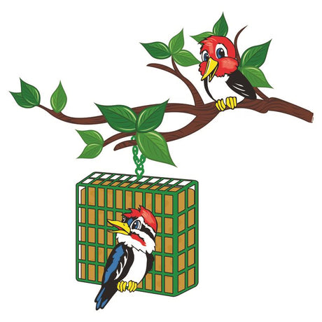 C&S Products Berry Treat Assorted Species Beef Suet Wild Bird Food 11.75 oz, Pack of 12