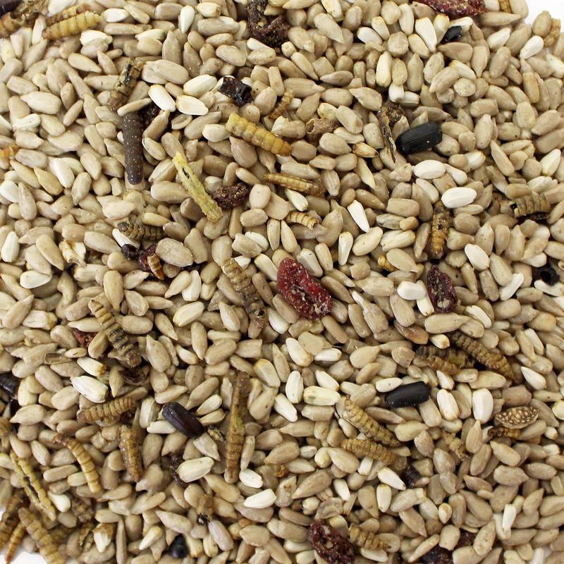 Wild Delight Bugs N' Berries Assorted Species Safflower Seeds Wild Bird Food 4.5 lb