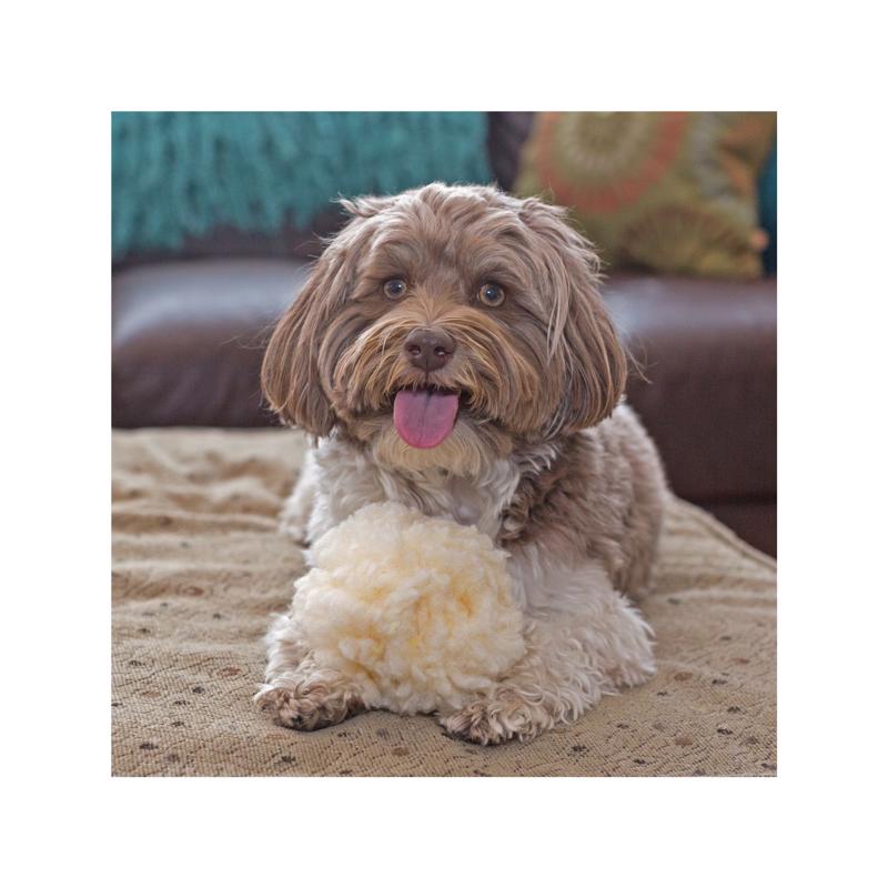 HuggleHounds Beige Fleece Ball Dog Toy Small 1 pk