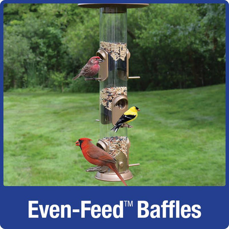 Nature's Way Deluxe Wild Bird and Finch 1.5 qt Metal/Plastic Funnel Flip-Top Tube Bird Feeder 6 port