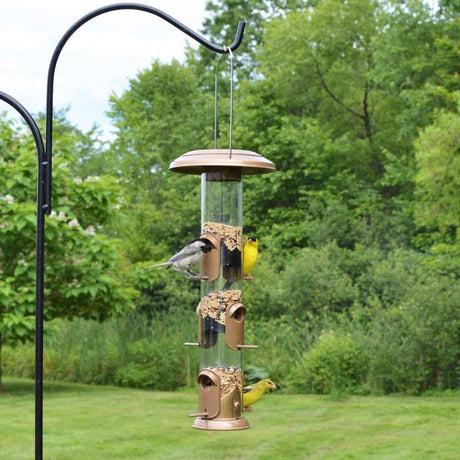 Nature's Way Deluxe Wild Bird and Finch 1.5 qt Metal/Plastic Funnel Flip-Top Tube Bird Feeder 6 port