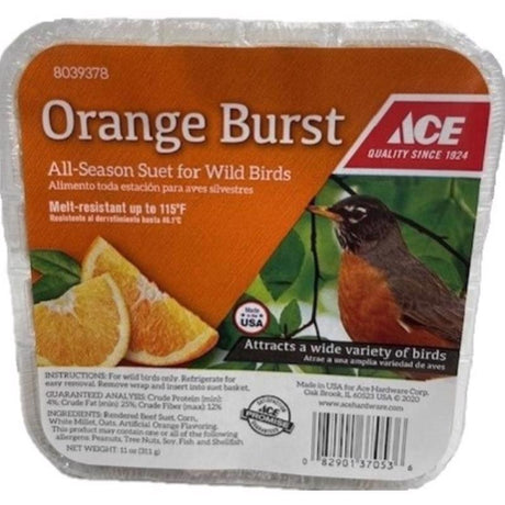 Ace Orange Burst Assorted Species Beef Suet 11 oz, Pack of 12