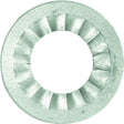 Danco 36476B Basin Rosette Washer, 3/4 in Dia, Stainless Steel, For: 1/2 in IPS Plastic Faucet Locknut, Pack of 5