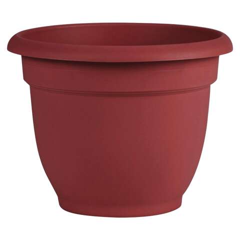Bloem Ariana 5.1 in. H X 6.5 in. W X 6 in. D Resin Ariana Planter Burnt Red
