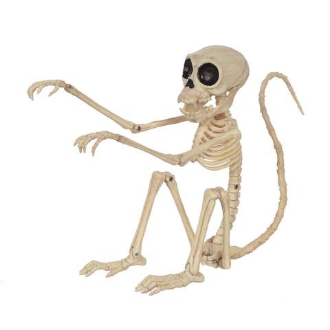Seasons 7.25 in. Skeleton Monkey Halloween Decor