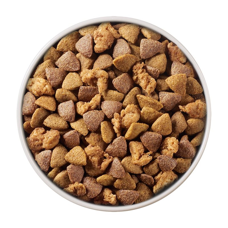 Purina ONE SmartBlend 14937 Dog Food, Adult Breed, Wet, Brown Rice, Lamb Flavor, 16.5 lb Can