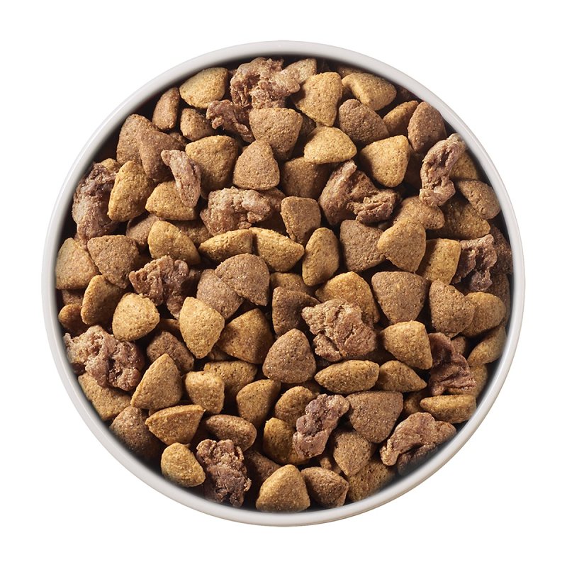 Purina SmartBlend 149419 Dog Food, Dry, Lamb, Rice Flavor, 31.1 lb