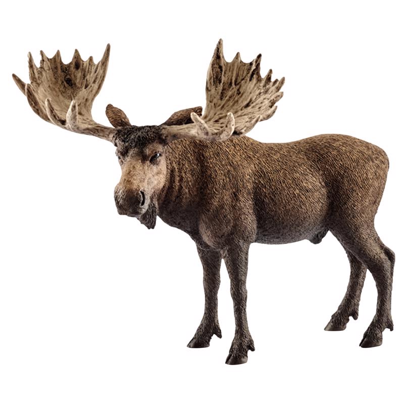 Schleich Wild Life Moose Bull Toy Brown, Pack of 5