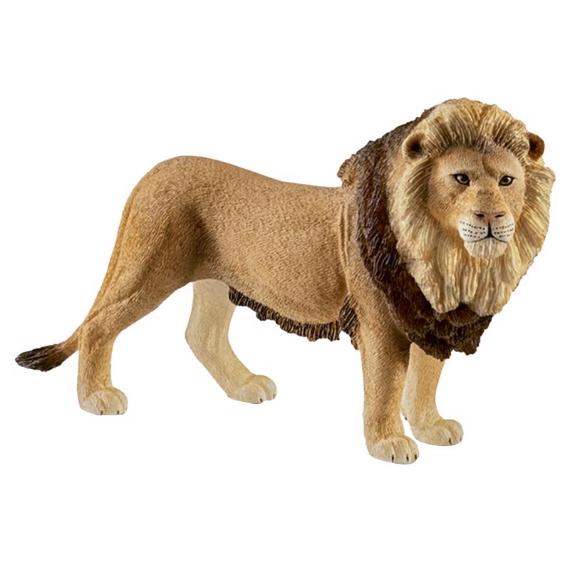 Schleich Wild Life Lion Toy Brown, Pack of 5
