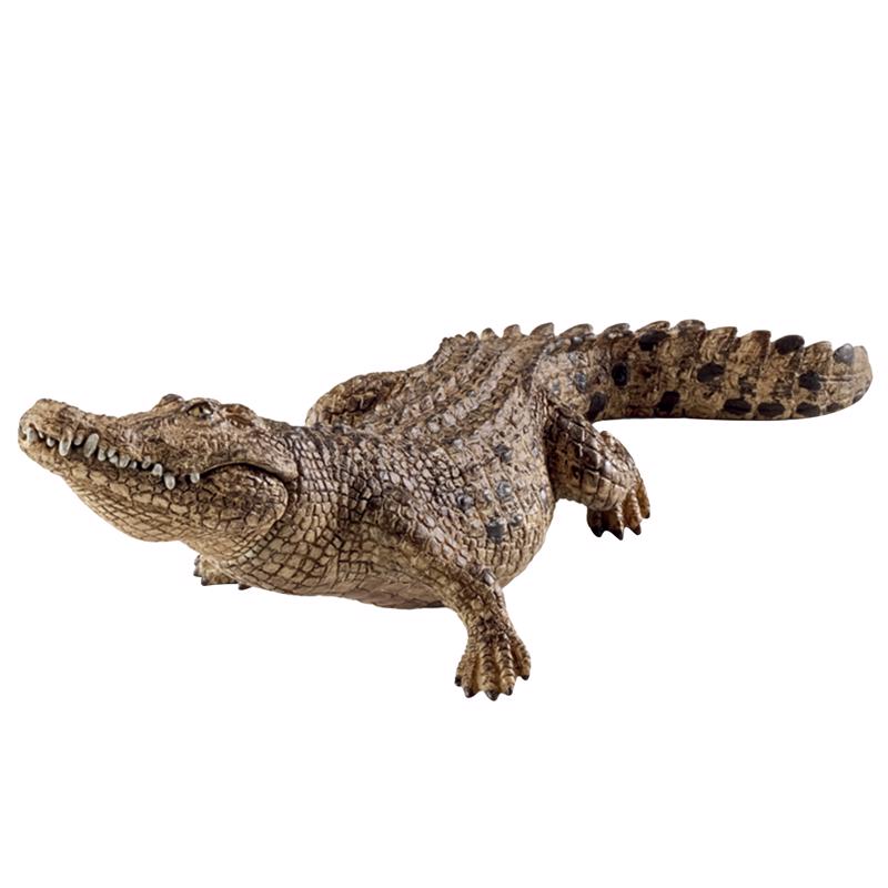Schleich Wild Life Crocodile Toy Brown, Pack of 5