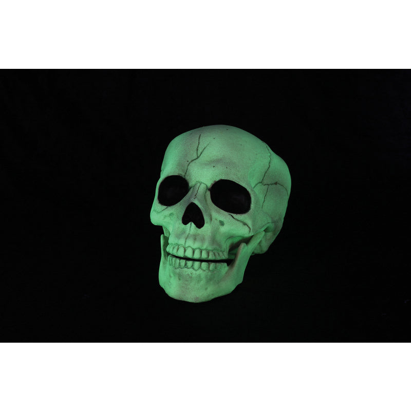 Seasons Crazy Bones 6 in. Glow in the Dark Halloween Decor, Pack of 6