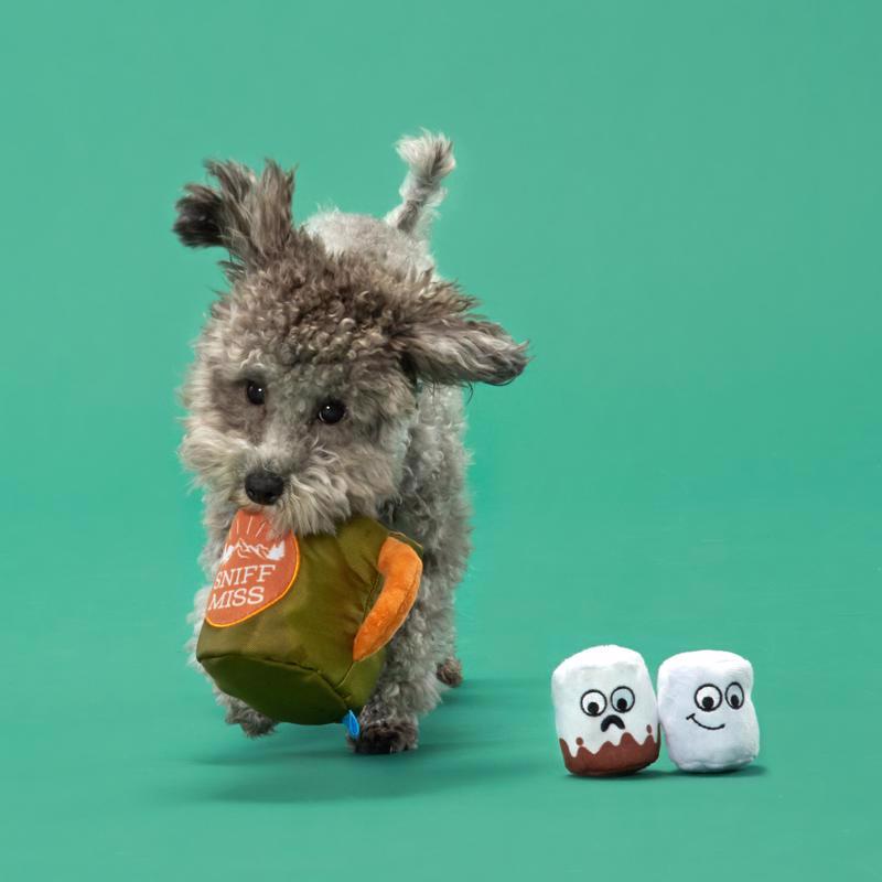 Bark Multicolored Plush Sniff Miss Dog Toy 1 pk, Pack of 3