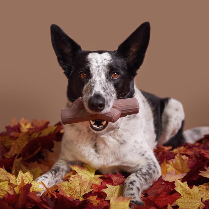 Bark Brown Nylon Fall Fetch Stick Dog Toy 1 pk, Pack of 3