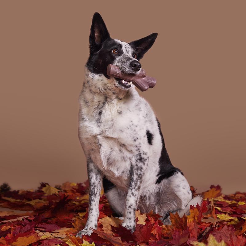 Bark Brown Nylon Fall Fetch Stick Dog Toy 1 pk, Pack of 3