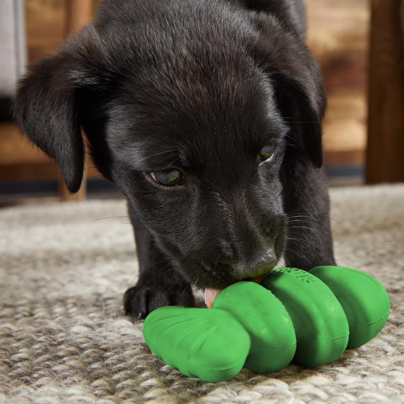 Bark Plush Bass Dog Toy 1 pk