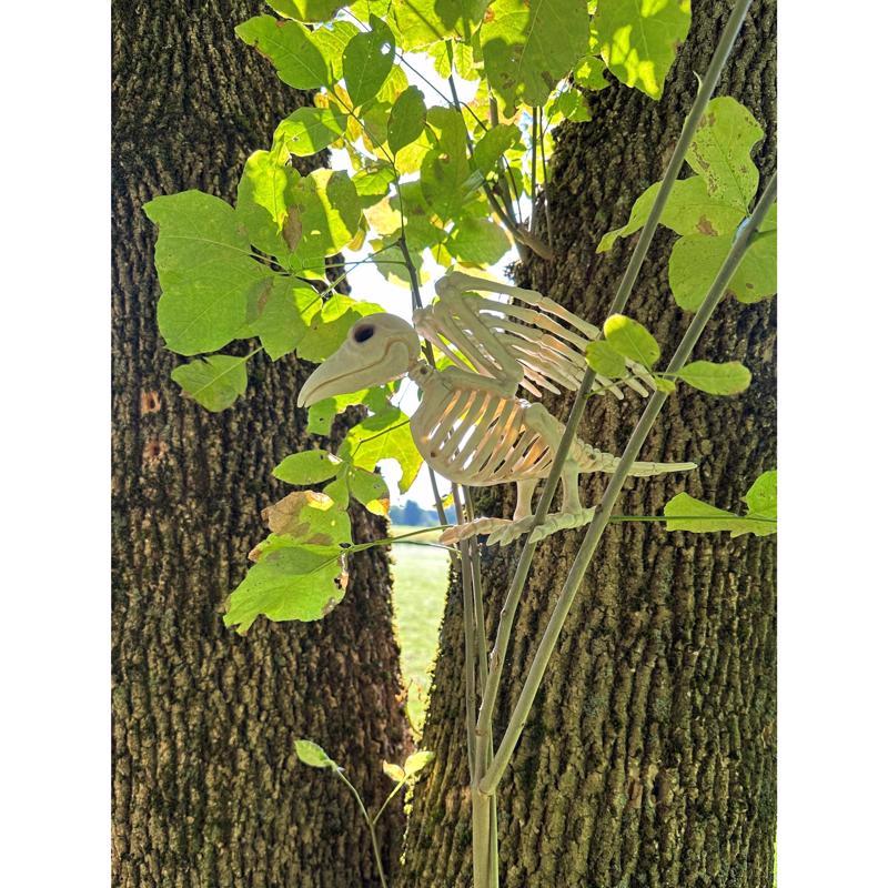 Seasons Bird Skeleton Halloween Decor