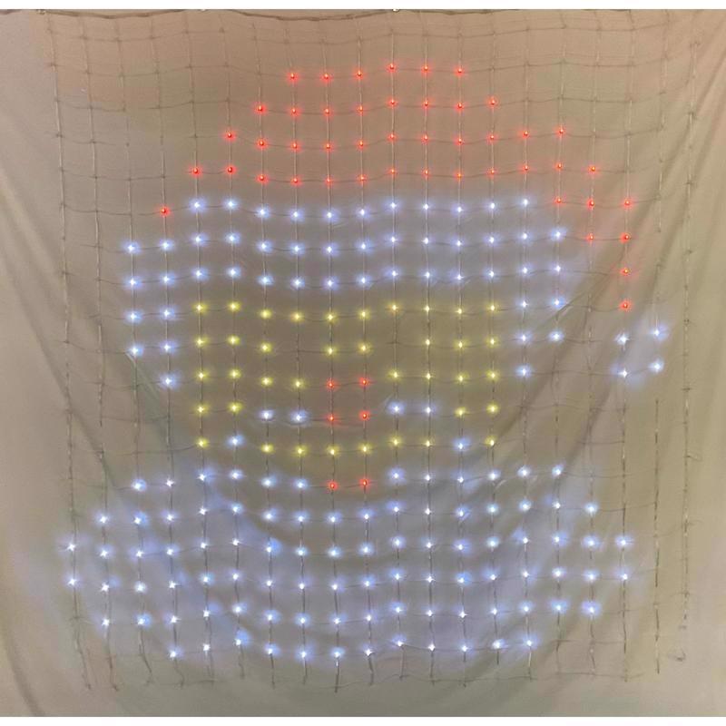 Celebrations LED RGB 576 ct Novelty Christmas Lights 4 ft.