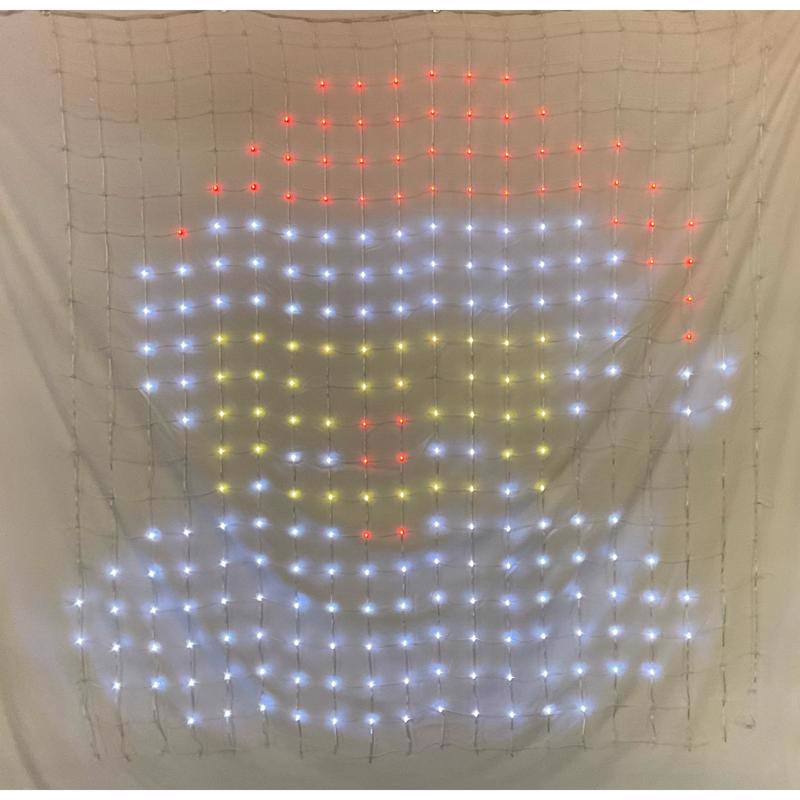 Celebrations LED RGB 720 ct Novelty Christmas Lights 5 ft.