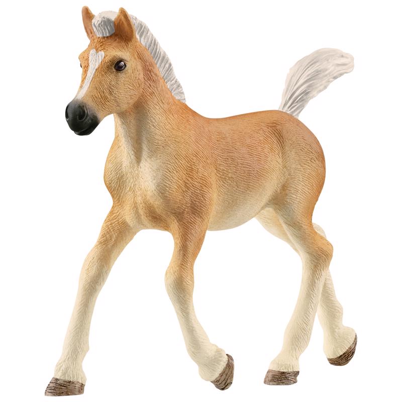 Schleich Haflinger Horse Foal Figurine Snow White 1 pc, Pack of 5