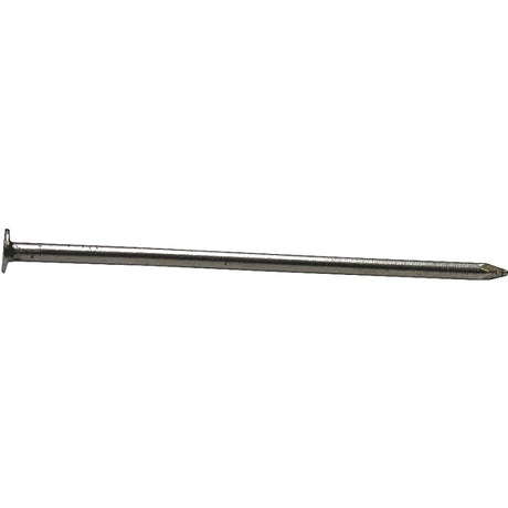 ProFIT 0053188 Common Nail, 12D, 3-1/4 in L, Brite, Flat Head, Round, Smooth Shank, 1 lb