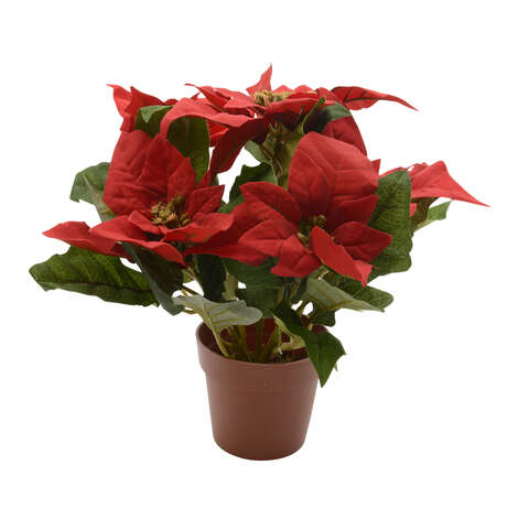Decoris Red Potted Poinsettia 11 in., Pack of 12